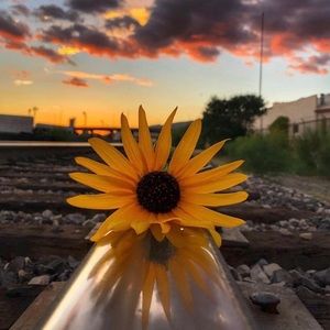 Meet your Posher, Georgette